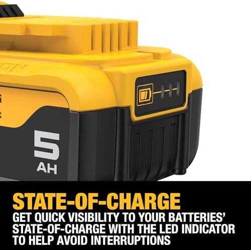 DEWALT 20V MAX 5 Ah Lithium Ion Battery (DCB205)
