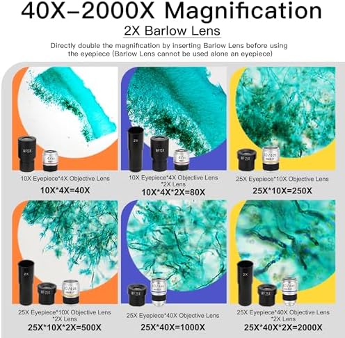 Microscope for Adults Kids Students, Compound Monocular Microscope 40X-2000X, Dual LED Illumination, Slides Set with Specimens, Phone Holder Adapter, School & Home Education