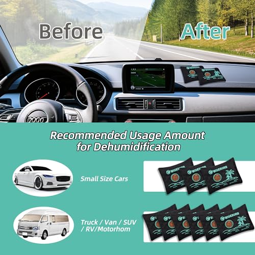 100g x 5pcs Rechargeable Desiccant Packs, Reusable Car Dehumidifier Bags Color Indicating Silica Gel Packets Moisture Absorbers for Storage Bins, Suitcase, Safe, 3D Filaments, Electronics