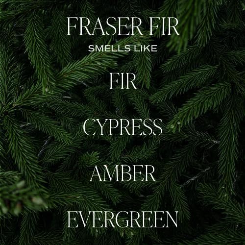Sweet Water Decor Fraser Fir Candle - Evergreen, Cedar, Winter Holiday Scented Soy Christmas Candles for Home - 9oz Clear Jar, 40 Hour Burn Time, Made in The USA