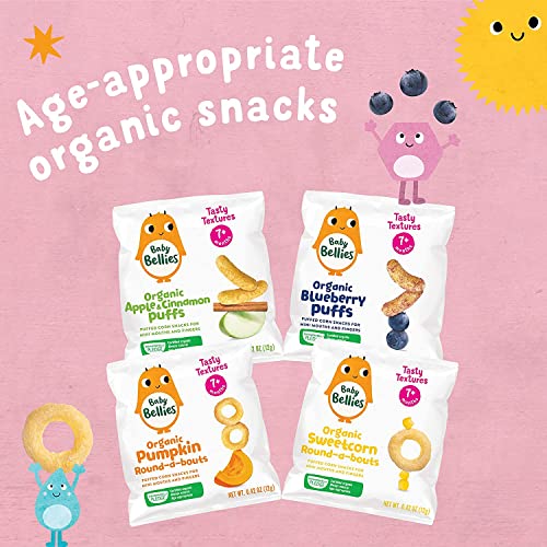Little Bellies Organic Strawberry Pick-Me Sticks Baby Snack (Pack of 10 x 0.56 oz Individual Packs)