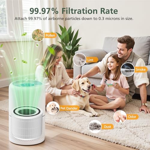 Core 300 Replacement Filter for LEVOIT Core 300 Core300-P Core 300S Core 300S/P VortexAir Air Purifier, Core 300-RF, 3-in-1 HEPA Activated Carbon, 2 Pack, White, Core 300-P