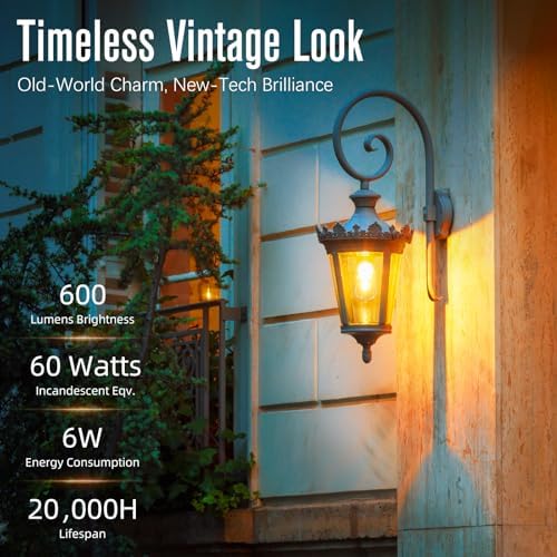 LED Edison Bulbs Dimmable, E26 Bulb 60 watt Equivalent, Soft White 2700K, ST58 Vintage Light Bulbs, 90+ CRI, 6W 600LM, E26 Medium Base, Clear Glass, 10 Pack