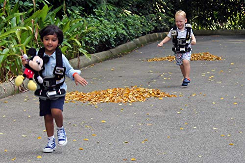 Small Black, Lightweight, Compact, Portable Car Seat - Perfect for Travel and Everyday Child Safety