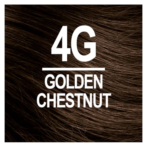 Naturtint 4G Golden Chestnut Permanent Hair Color (Pack of 6), Ammonia Free, Vegan, Cruelty Free, up to 100% Gray Coverage, Long Lasting Results (Packaging may vary)