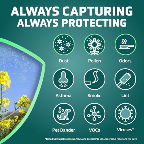 GermGuardian HEPA Pure Genuine Air Purifier Filter B, Removes 99.97% of Pollutants, Wildfire Smoke, Odors, for AC4825, AC4300, AC4850, AC4880, AC4900, CDAP4500, AP2200, Black/Yellow, FLT4825