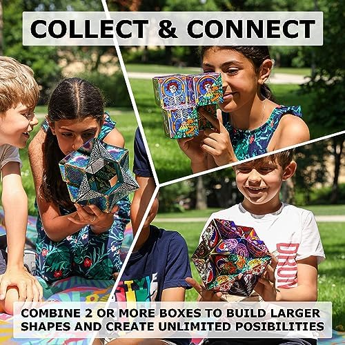 SHASHIBO Shape Shifting Box - Award-Winning, Patented Fidget Cube w/ 36 Rare Earth Magnets - Transforms Into Over 70 Shapes, Gift Box, Download Fun in Motion Toys Mobile App (Optical Illusion, 2 pack)