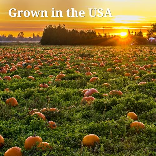 Farmer's Market Foods Canned Organic Pumpkin Puree, 15 Ounce (Pack of 12)
