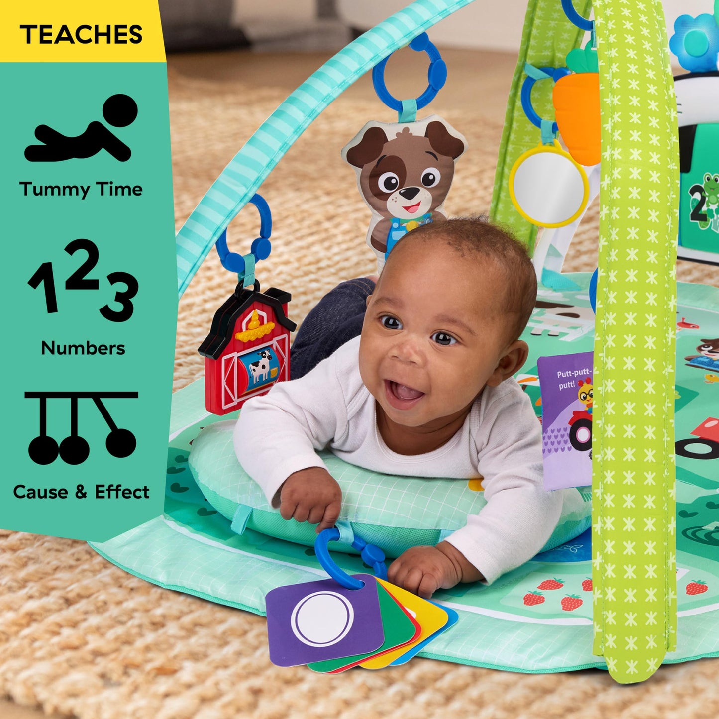 Baby Einstein Farm Explorers 4-in-1 Kickin’ Tunes Musical Meadow Music & Language Discovery Gym, Ages 0 Months and Up