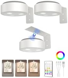 EZVALO Picture Lights for Wall, 2000mAh Rechargeable Battery Magnetic Poster Lights with 3 Color Temps & 12 RGB, Remote Dimmable Timer Painting Light, Wall Decor Light for Art Display, Frame (3 Pack)