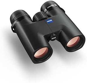 ZEISS Conquest HDX Binoculars 10x32 Waterproof, Compact with LotuTec T* HD Coated Glass for Optimal Clarity in All Weather Conditions for Bird Watching, Hunting, Sightseeing, Black