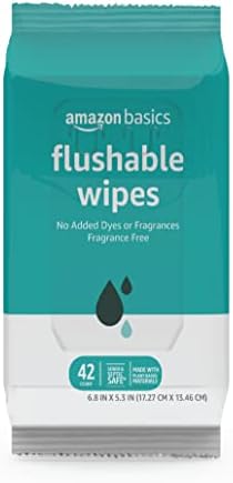 Amazon Basics Flushable Adult Toilet Wipes, Fragrance Free, 504 Count (12 Packs of 42)
