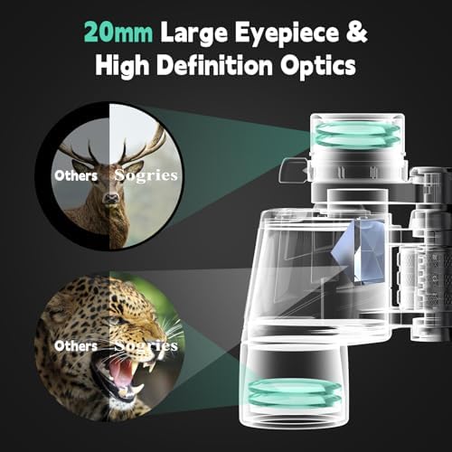 6-16x40 HD Zoom Binoculars for Adults, High Powered, Large View, BAK4 Prism, Waterproof, Clear Low Light Vision for Bird Watching,Hiking, Travel