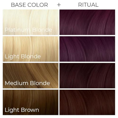 Arctic Fox Semi-Permanent Hair Color Dye, Vegan & Cruelty-Free, Ammonia-Free, Conditioning, Long Lasting, Rich Burgundy Red, For All Hair Types, Ritual, 8 Fl Oz (Pack of 2)