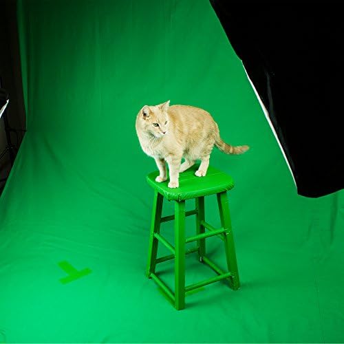 Gaffer Power Real Professional Grade Gaffer Tape, Made in The USA, Heavy-Duty Gaffers Tape, Durable, Versatile, Non-Reflective, Multipurpose. (2 in x 30 Yds, Chrome Green)