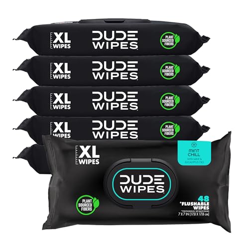 DUDE Wipes - Flushable Wipes - 6 Pack, 288 Count - Mint Chill - Vitamin-E, Aloe, Eucalyptus & Tea Tree Oils - Septic and Sewer Safe