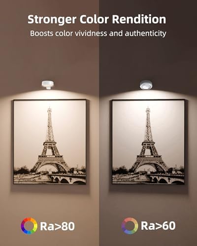 EZVALO Picture Lights for Wall, 2000mAh Rechargeable Battery Magnetic Poster Lights with 3 Color Temps & 12 RGB, Remote Dimmable Timer Painting Light, Wall Decor Light for Art Display, Frame (3 Pack)