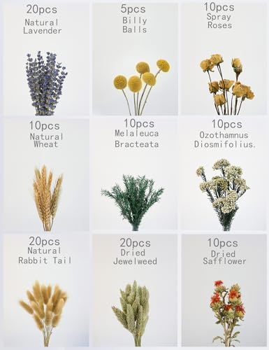 DIY Natural Dried Flower Set, Bulk Dried Flowers for Vase, Dried Flowers with Stems, Dried Roses, Mini Dried Flower Bouquets.(Brown)
