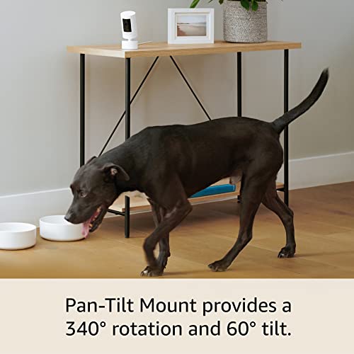 Ring Indoor/Outdoor Pan-Tilt Mount for Outdoor Cam (Stick Up Cam) Plug-In, White (Power adapter and camera not included)