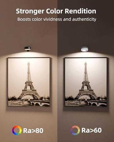 EZVALO Picture Lights for Wall, 2000mAh Rechargeable Battery Magnetic Poster Lights with 3 Color Temps & 12 RGB, Remote Dimmable Timer Painting Light, Wall Decor Light for Art Display, Frame (3 Pack)