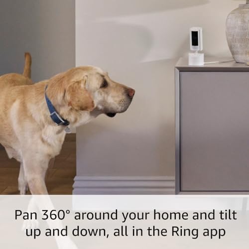 Ring Pan-Tilt Indoor Cam | See all around your home or business with 360° pan coverage, HD video, plus Two-Way Talk (2024 release) | White