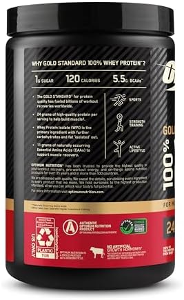 Optimum Nutrition Gold Standard 100% Whey Protein Powder, Double Rich Chocolate, 1 Pound (Pack of 1)