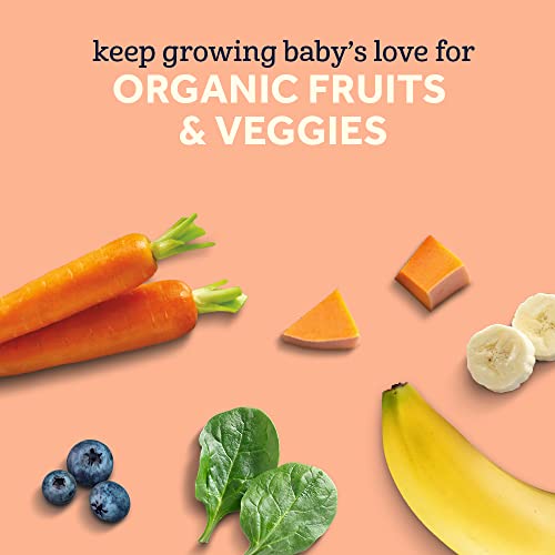 Gerber Organic 2nd Foods Baby Food, Fruit and Veggie Variety Pack, 3.5 oz Pouch (Pack of 18)