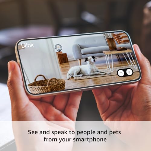 Blink Mini 2 (Newest Model) — Home Security & Pet Camera(s) with HD video, color night view, motion detection, two-way audio, and built-in spotlight — 1 camera (Black)