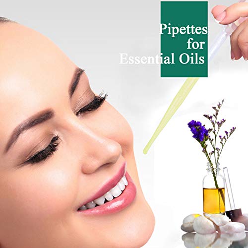 moveland 500PCS 3ML Plastic Dropper Pipettes, Disposable Eye Dropping Pipettes for Essential Oils, Home Use, Science Class, Lab Experiments, DIY Art