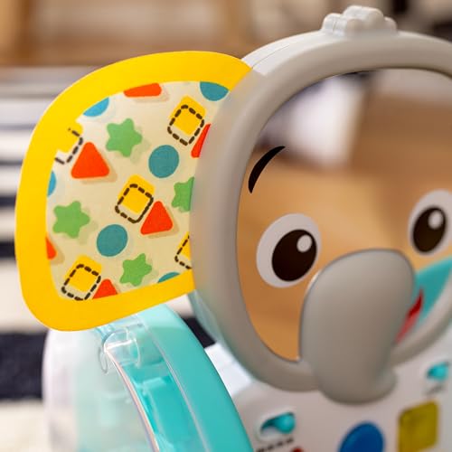 Baby Einstein Chase & Tap Earl Crawling Baby Toy, with Mirror and Music, Ages 6 Months and Up