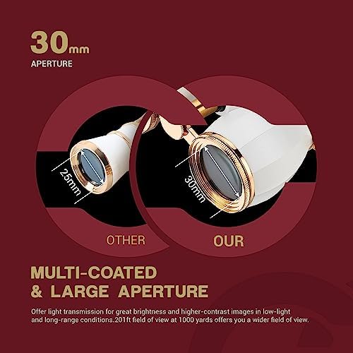 ESSLNB Opera Glasses Binoculars for Women Adults 4X30mm Theater Glasses Compact Binoculars for Theater and Concerts Antique with Case Removable Chain White