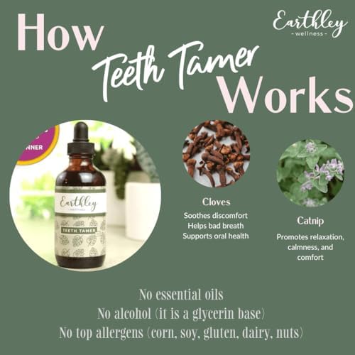 Earthley Wellness Teeth Tamer, Teething Relief for Babies & Kids, Soothes Drooling, Gum Discomfort & Irritability, Organic Herbal Formula, Essential Oil Free, Alcohol-Free & Sugar-Free (1.69 oz)
