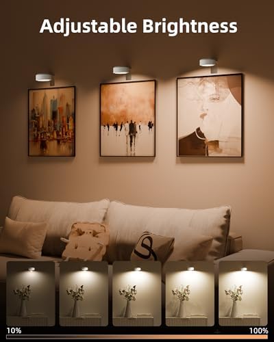 EZVALO Picture Lights for Wall, 2000mAh Rechargeable Battery Magnetic Poster Lights with 3 Color Temps & 12 RGB, Remote Dimmable Timer Painting Light, Wall Decor Light for Art Display, Frame (3 Pack)
