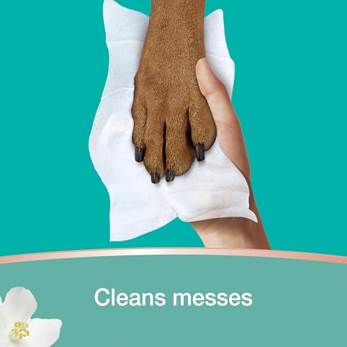 Pampers Wipes, Clean & Calm, Cotton Blossom Scent, 672 Wipes Total (12X Pop-Top Packs)