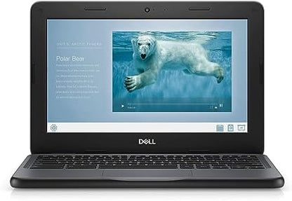 Dell Chromebook 11 3100 11.6" Chromebook - 1366 x 768 - Celeron N4020-4 GB RAM - 16 GB Flash Memory - Chrome OS - Intel HD Graphics - English (US) Keyboard - Bluetooth (Renewed)