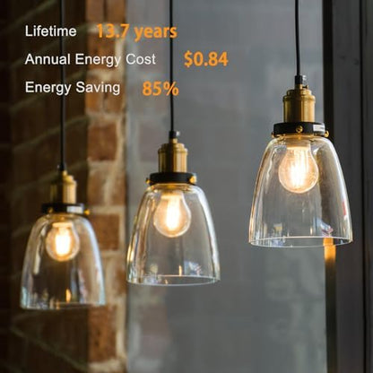 TJOY 12 Pack A19 Vintage LED Edison Bulbs, Dimmable, 60W Equivalent, High Brightness 2700K Warm White, 7W E26 Standard Base, 800 Lumens, CRI80+, Clear Glass Filament Bulb for Home, Farmhouse