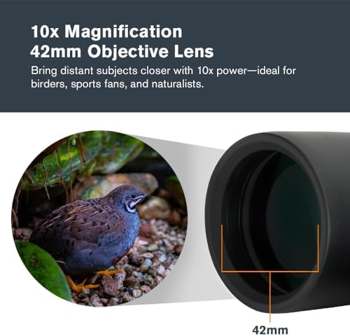 Celestron - Outland X 10x42 Binoculars – Ideal for Birding and Outdoors – 42mm Objective Lenses – 5.5° Field of View – BaK-4 Prisms – Multi-Coated – Waterproof and Fogproof