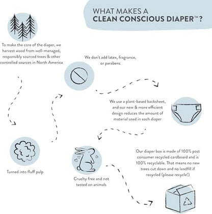 The Honest Company Clean Conscious Training Pants for Sensitive Skin | Hypoallergenic, Fragrance Free | Magical Moments + Butterfly Kisses | Size 2T/3T (up to 34 lbs), 66 Count