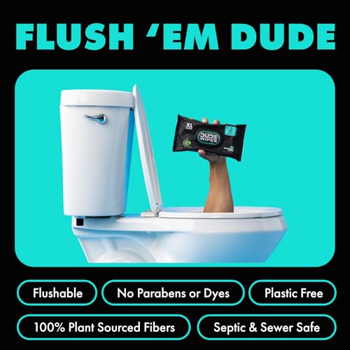 DUDE Wipes - Flushable Wipes - 6 Pack, 288 Count - Mint Chill - Vitamin-E, Aloe, Eucalyptus & Tea Tree Oils - Septic and Sewer Safe