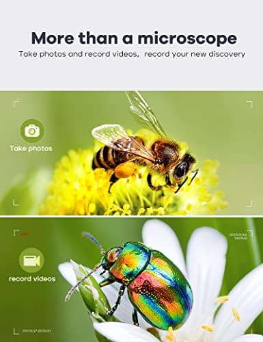 7" LCD Digital Microscope 1200X,Leipan 12MP Coin Microscope with Screen for Adults,1080P Video Microscope with 32GB TF Card and 12pcs Slides,Wired Remote,2 Side Lights,Windows/Mac OS Compatible