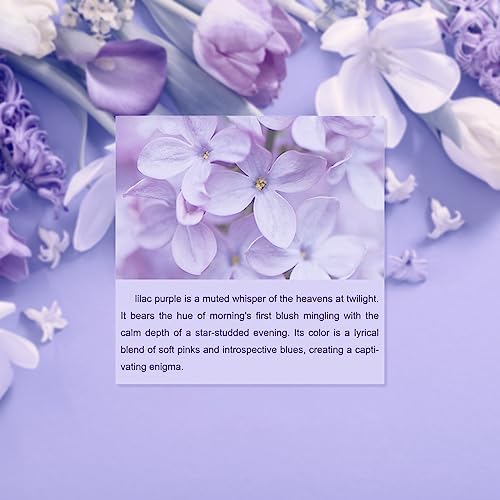 Metronic Large Poly Mailers 24x24 100 Pcs, Strong Adhensive Shipping Bags for Clothing, Waterproof Mailers Bags for Small Business, Shipping Envelopes, Tear-resistant Mailing Bags in Lilac Purple