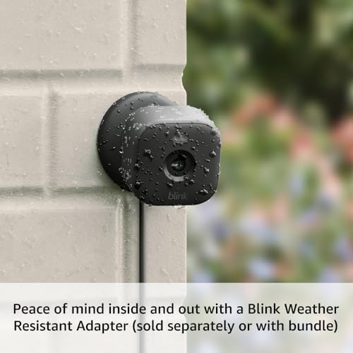 Blink Mini 2 (Newest Model) — Home Security & Pet Camera(s) with HD video, color night view, motion detection, two-way audio, and built-in spotlight — 1 camera (Black)