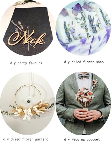 DIY Natural Dried Flower Set, Bulk Dried Flowers for Vase, Dried Flowers with Stems, Dried Roses, Mini Dried Flower Bouquets.(Brown)