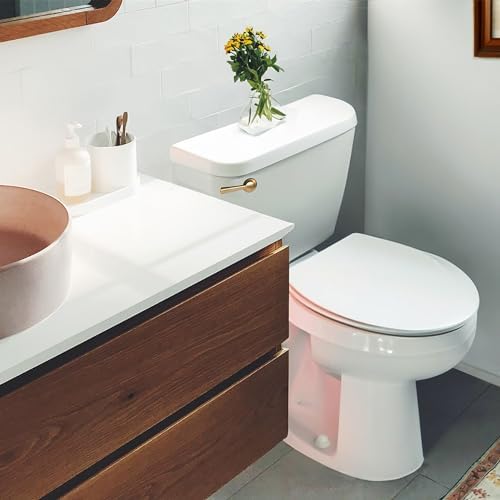 Korky 6094BP StrongARM Tank Lever, Universal to Fit Front Angled Side Left and Right Mount Toilets, Brushed Gold, Simple Style