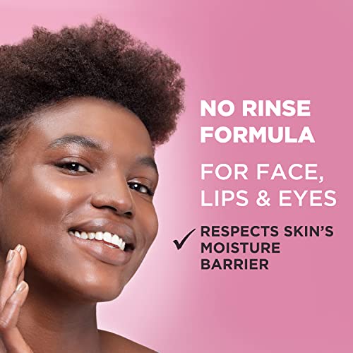 Garnier Micellar Water, Hydrating Facial Cleanser & Makeup Remover, Suitable for Sensitive Skin, Vegan, Cruelty Free, 13.5 Fl Oz (400mL), 2 Count