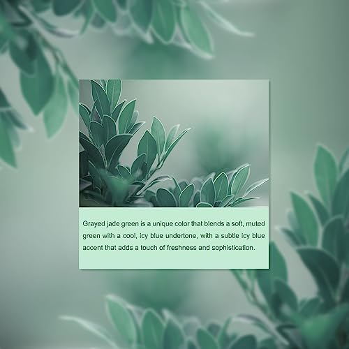 Metronic Large Poly Mailers 24x24 100 PCS, Strong Adhensive Shipping Bags for Clothing, Waterproof Shipping Envelopes for Small Business, Tear-resistant Mailers Poly Bags in Grayed Jade Green