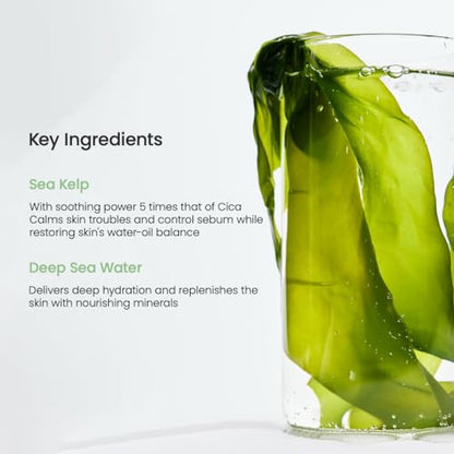 BIODANCE Refreshing Sea kelp Real Deep Mask, Overnight Hydrogel Mask, Calming, Oil & Sebum Control, Blemish Care 1.19oz(34g) x 4ea