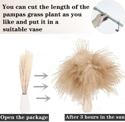 300 PCS Dried Flower Bouquet – Pampas Grass, Floral Decor for Home, Wedding, and Boho Style | Perfect for Vases, Fall, Spring, Summer, and Winter Arrangements