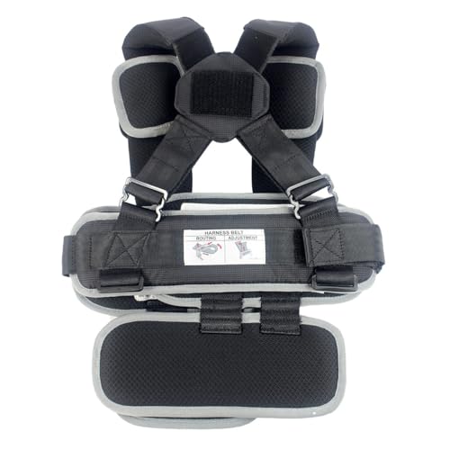 Small Black, Lightweight, Compact, Portable Car Seat - Perfect for Travel and Everyday Child Safety