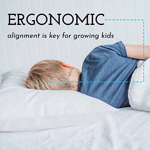 Little Sleepy Head Toddler Pillow with Pillowcase 13x18 - Kids Pillow for Sleeping - Toddler Pillow - Better Neck Support Ergonomic Pillow and Toddler Pillowcase - Best Pillows for Kids (White)